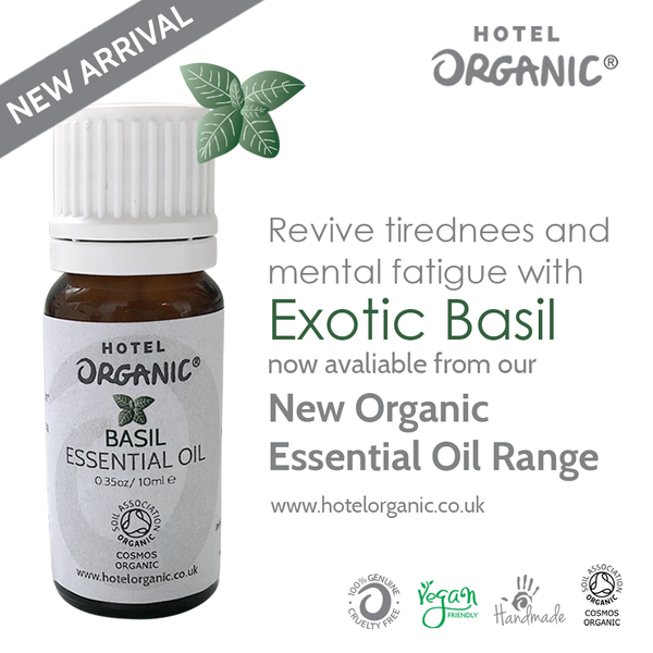 Buy our Organic Exotic Basil essential oil