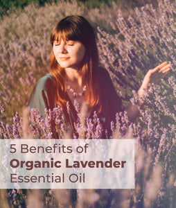 5 Benefits of Organic Lavender Essential Oil - CLICK HERE FOR FULL ARTICLE