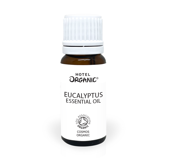 Organic Essential Oil - Eucalyptus