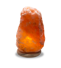 Natural Himalayan Crystal Salt Lamp - Wood Base